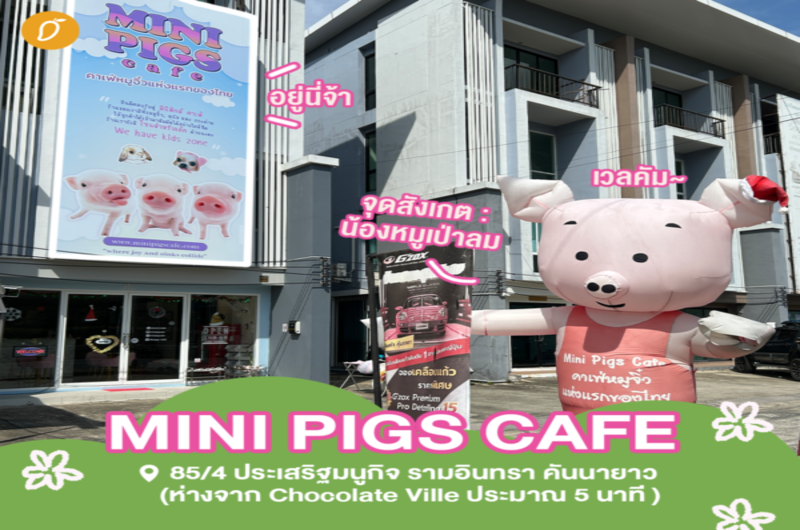Images/Blog/MspDHuyR-mini-pigs-21-600x600 (1) (1)ะำ้ด้ด้ด.png